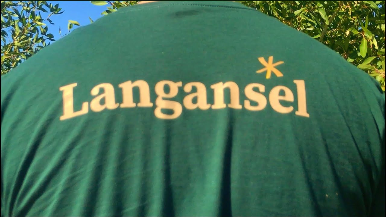 Langansel - Retro Fuzz (Official Video)