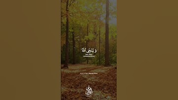 اجمل تلاوة رائعة جميلة⚘ القارئ#هاني_الرفاعي حالات واتساب مقاطع دينية قصيرة🌺#تلاوات_خاشعة #قران_كريم