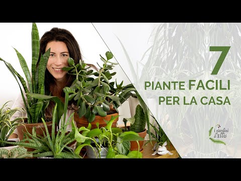 Video: Le piante più utili per la casa: elenco e foto
