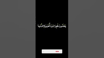 🍁وعد الله لا يخلف الله وعده..🍁ماتيسر من سورة الروم 🌿Surah Ar-Rum 🌿