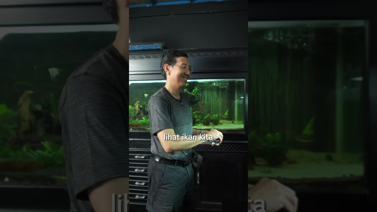 IKAN KAMU SAKIT? INI YANG HARUS DILAKUKAN