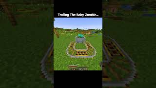 Minecraft Trolling The Baby Zombie...🤯