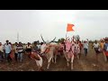 Uttar karnataka race bulls
