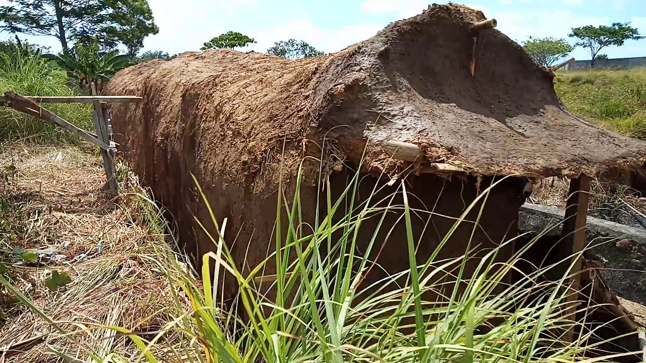 Mud House made of Termite mounds YouTube