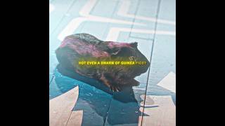 Sky High 2005 What Superpower Would You Want?