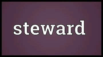 What does being steward mean?