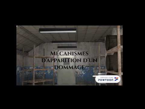 présentation des mécanismes d'apparition d'un dommage en SST