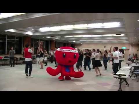 パパたこダンス～明石観光PR隊 - YouTube