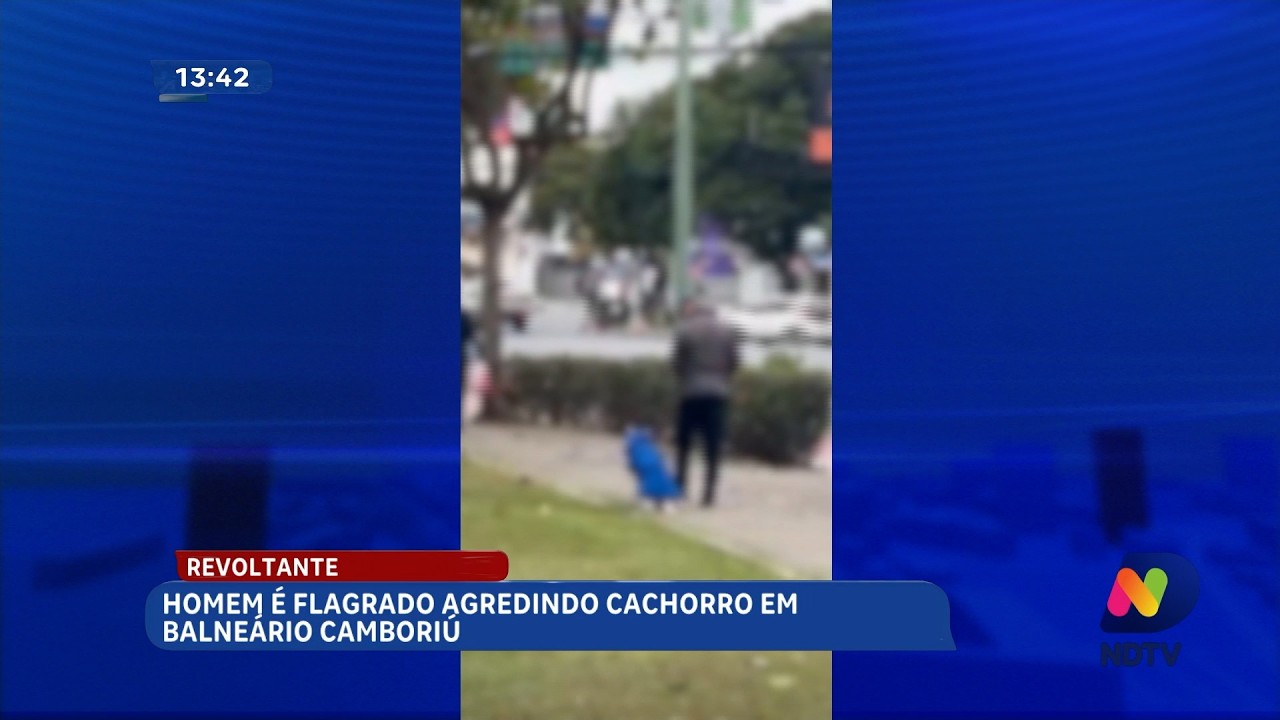 Duas agressões a cachorros geram revolta e mobilizam autoridades