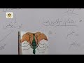 Class 10 - Biology | Plant Physiology | Plant Reproduntion |  @ADIGHSSD