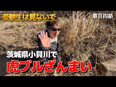 【虎ブルスタート】寒波の小貝川でバスが釣りたい！！