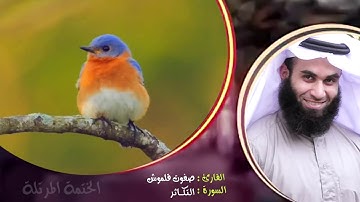 سورة التكاثر | الختمة المرتلة | القارئ صفوت قلموش .HD