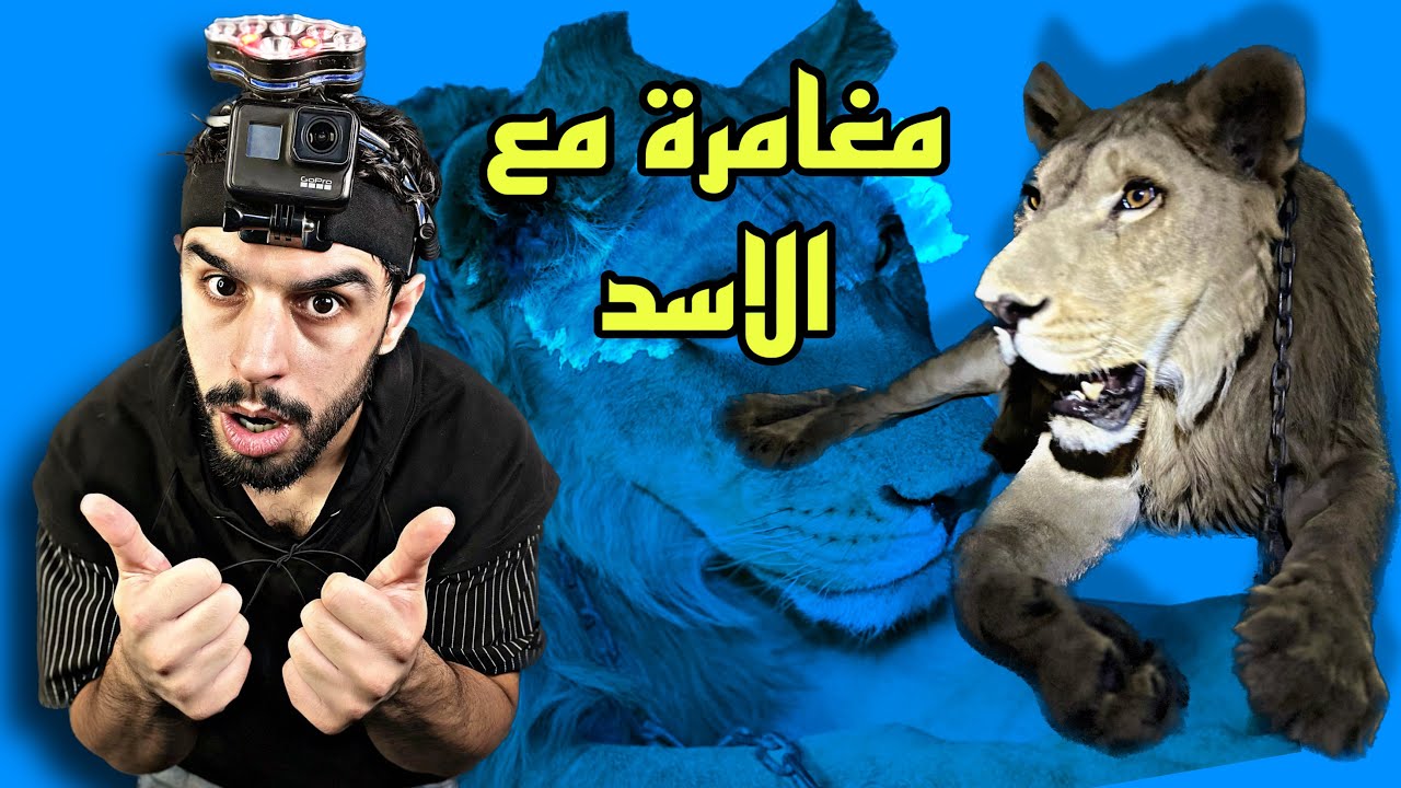 مغامرة مع الاسد 🦁 بالاخير عاند 🤬 #عمار ماهر