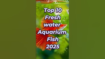 Top 10 Freshwater Aquarium Fish 2025 🐟🌊 | Best Beginner & Expert Picks! #shorts #aquariumfish