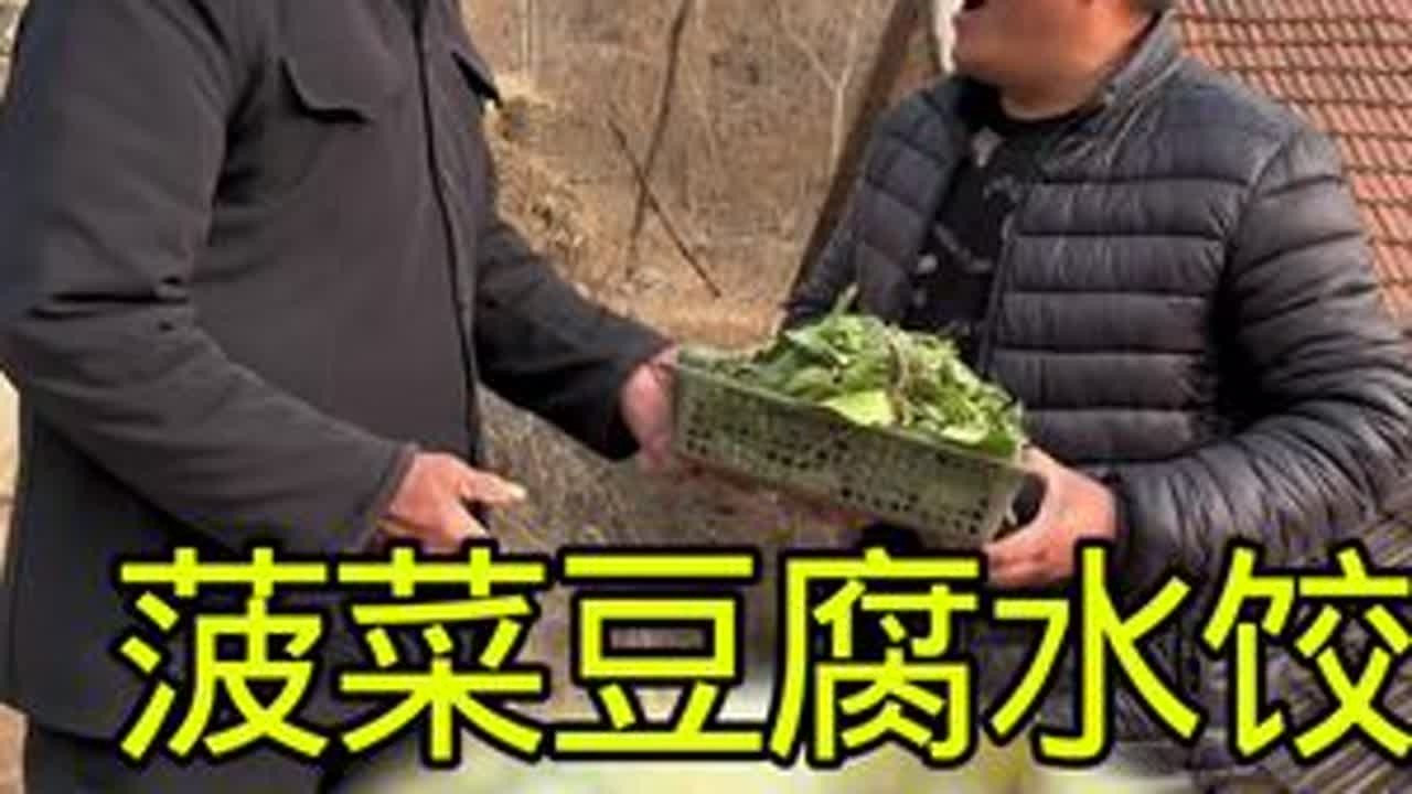 冬天的菠菜特别鲜，搁点豆腐包水饺，软乎乎的，老年人都爱吃 #记录真实生活 #我的乡村生活 #农村生活