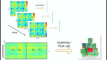 OHBM 2018 | Educational Course | Time-varying connectivity in resting-state fMRI: from me… | Part 2