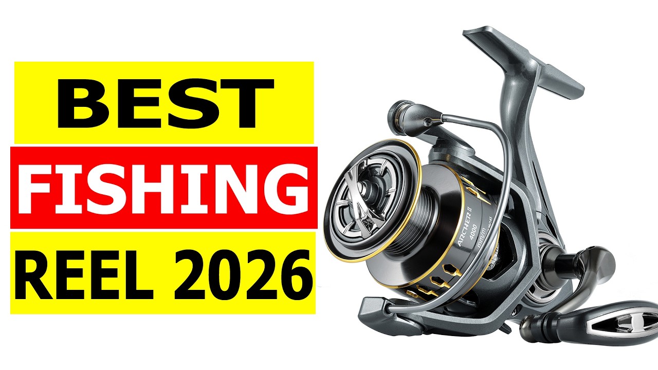 Top 5 Best Fishing Reel 2026