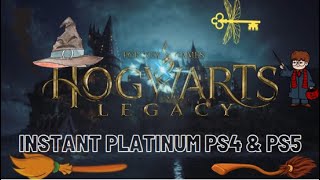 Hogwarts Legacy Update 1.04 Zaps Out on PS4 and Xbox One This June 2