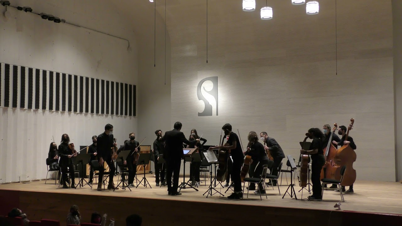 Orquesta de 1º y 2º de E. Profesionales. Schumann, Grieg y Tchaikovsky
