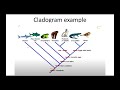 A Critique of Evolution: Popper and Cladogram - Part 7