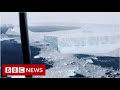 Video captures world's biggest iceberg - BBC News