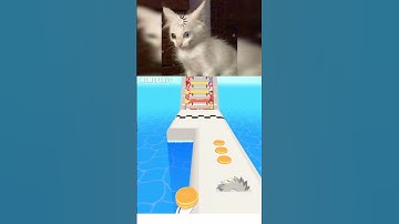 Pancake Run - All Levels Gameplay Android,ios #roblox #funny #memes #robloxgames #games