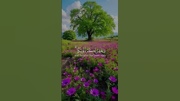 #قران_كريم #سورة_الاحزاب #احمد_العجمي #اكسبلور