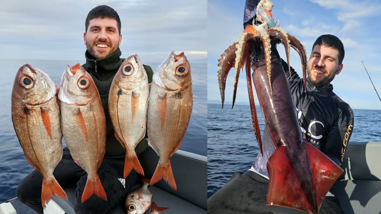 Μεγάλοι Μπαλάδες και Θράψαλα σε ημερήσιο ψάρεμα στα Βαθειά !! (eng. subs)