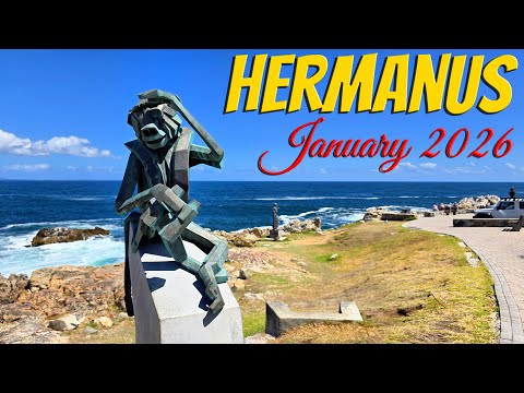 Hermanus January 2026 Ep 677
