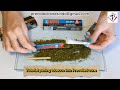 Tutorial putting tobacco into Pre-rolled cones