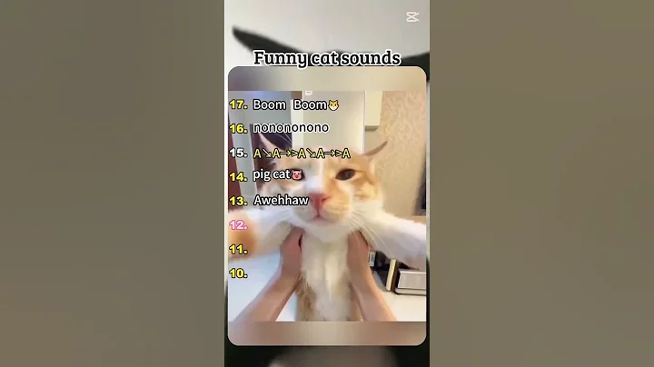 Video 11904841: cat sound funny