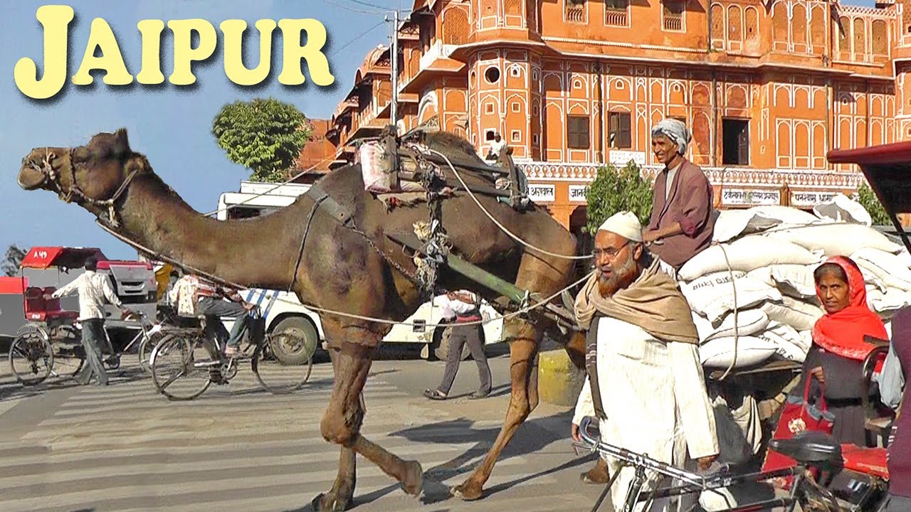 Индия - Джайпур - Форт Амбер и Храм обезьян