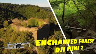 DJI Mini 2 | 🌳 Enchanted Path to a Forgotten Castle 🏰 | ☀️ Hiking in Germany 🇩🇪  | Cinematic 4K 🛩️