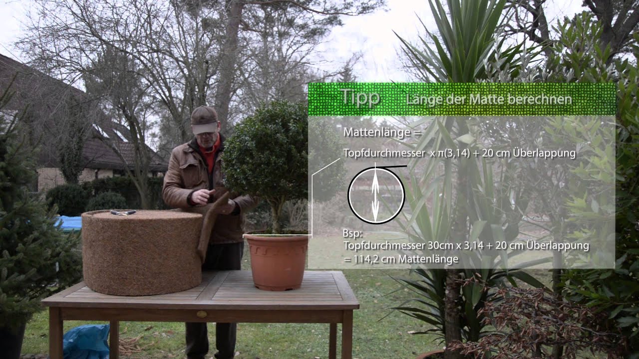 Kubelpflanzen Winterfest Machen Youtube