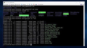 How to have the Control-M/Agent on UNIX run as root or non_root (Control-M/Agent owner) mode