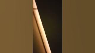 實錄姐姐房間傳來啪啪聲