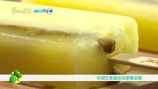 草地狀元-蔬果入冰消暑大師搶先看(2022.08.08播出) 