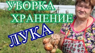 ⁣Советы по Уборке и Хранению Лука. (30.07.16)