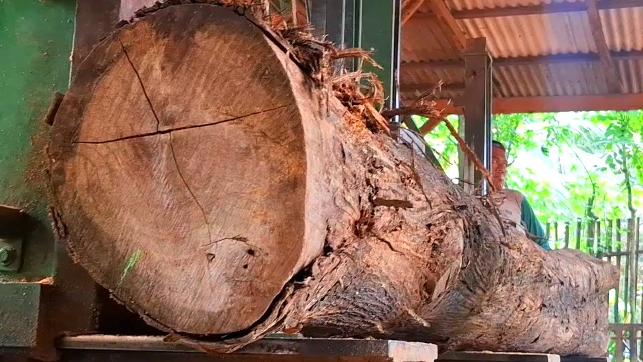 Satisfying long teak wood cutting process #221