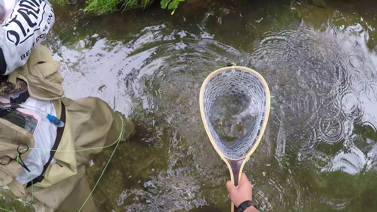 The Great Brown Escape at Beaver Creek [watch till the end]