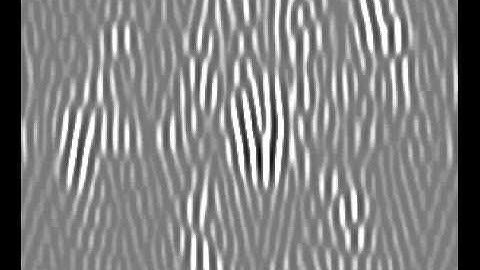 Anisotropic Noise with Rose Filter
