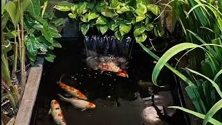 JANJI KA JANJI NANTI KA NANTI - LAGU MINANG TERPOPULER. (TANPA IKLAN ) DITAGAH INDAK TATAGAH