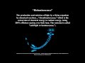 Bioluminescence (Leviathan Part#4)