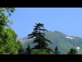 自然の音景色 L・北のウグイス4h・Nature Sound