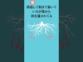 オヒシバに困ってる人!枯れない原因が判明!