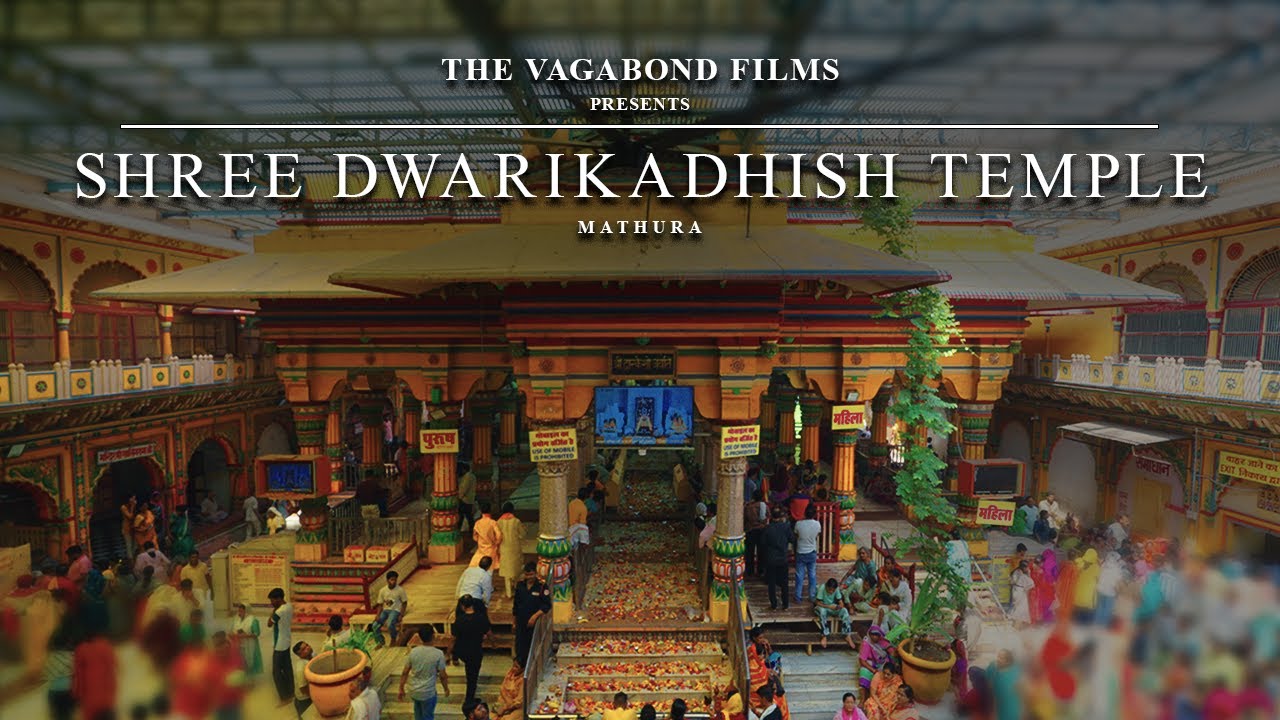 ХРАМ ШРИ ДВАРИКАДИШ – ДОКУМЕНТАЛЬНЫЙ ФИЛЬМ | МАТУРА | Фильмы о бродягах | 2024 |