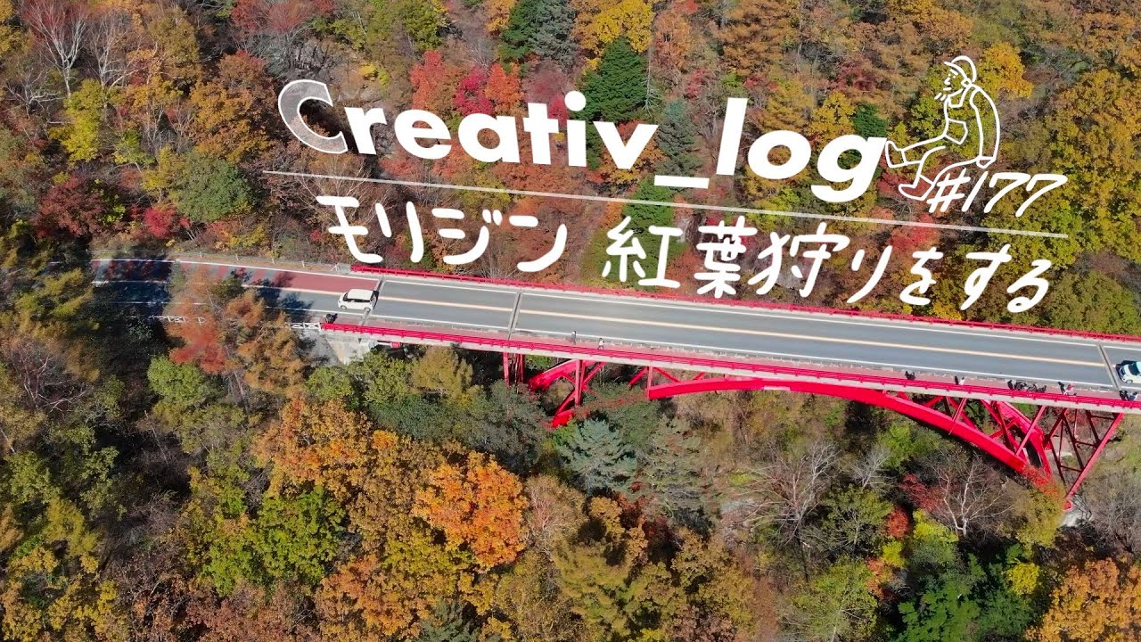 八ヶ岳の紅葉狩り　モリジンのお出かけ　#177