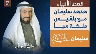 قصص الانبياء : ح 28 | سليمان عليه السلام وملكة سبأ |