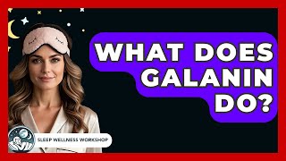 What Does Galanin Do? - Sleep Wellness Workshop