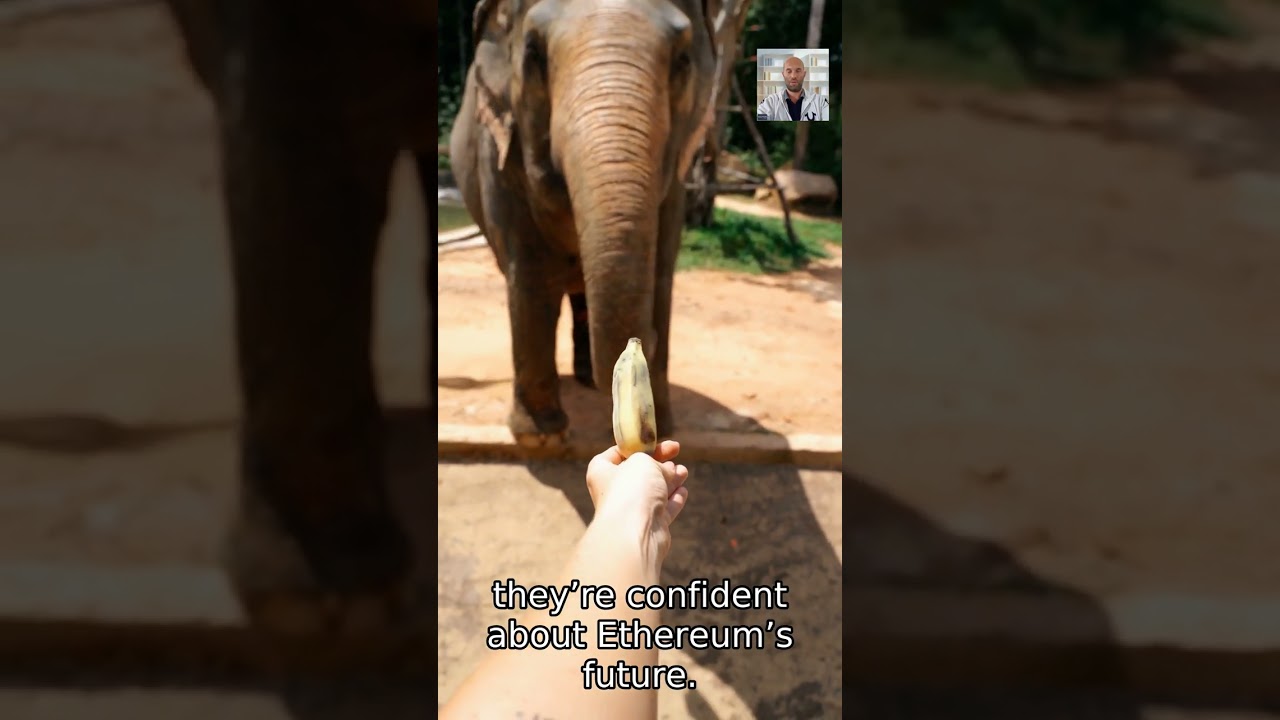 Whales move $10M ETH off Kraken—see how Ark Quant’s AI signals spot big crypto moves!